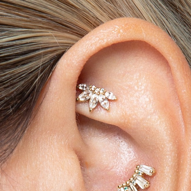 Rook Piercing Jewelry & Faux Rook Jewelry | Gold Jewelry for your Rook ...