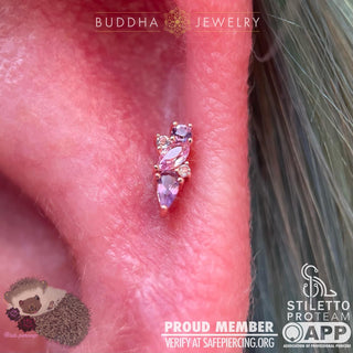 Visionary - Amethyst + Pink Sapphire - Threadless End Threadless Ends Buddha Jewelry   