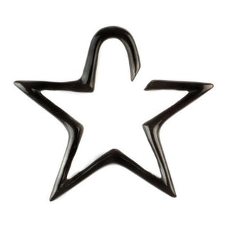 Starstruck Earrings - Horn Sale Jewelry Buddha Jewelry   